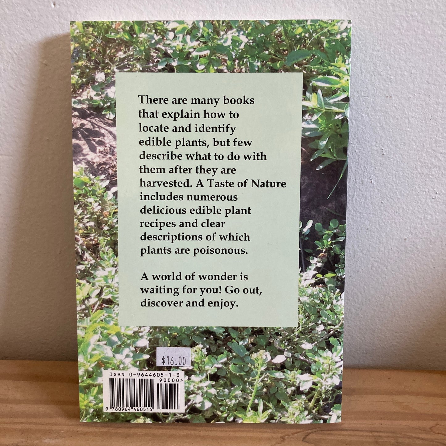 A Taste of Nature - Edible Plants of the Southwest and How to Prepare Them - Kahanah Farnsworth