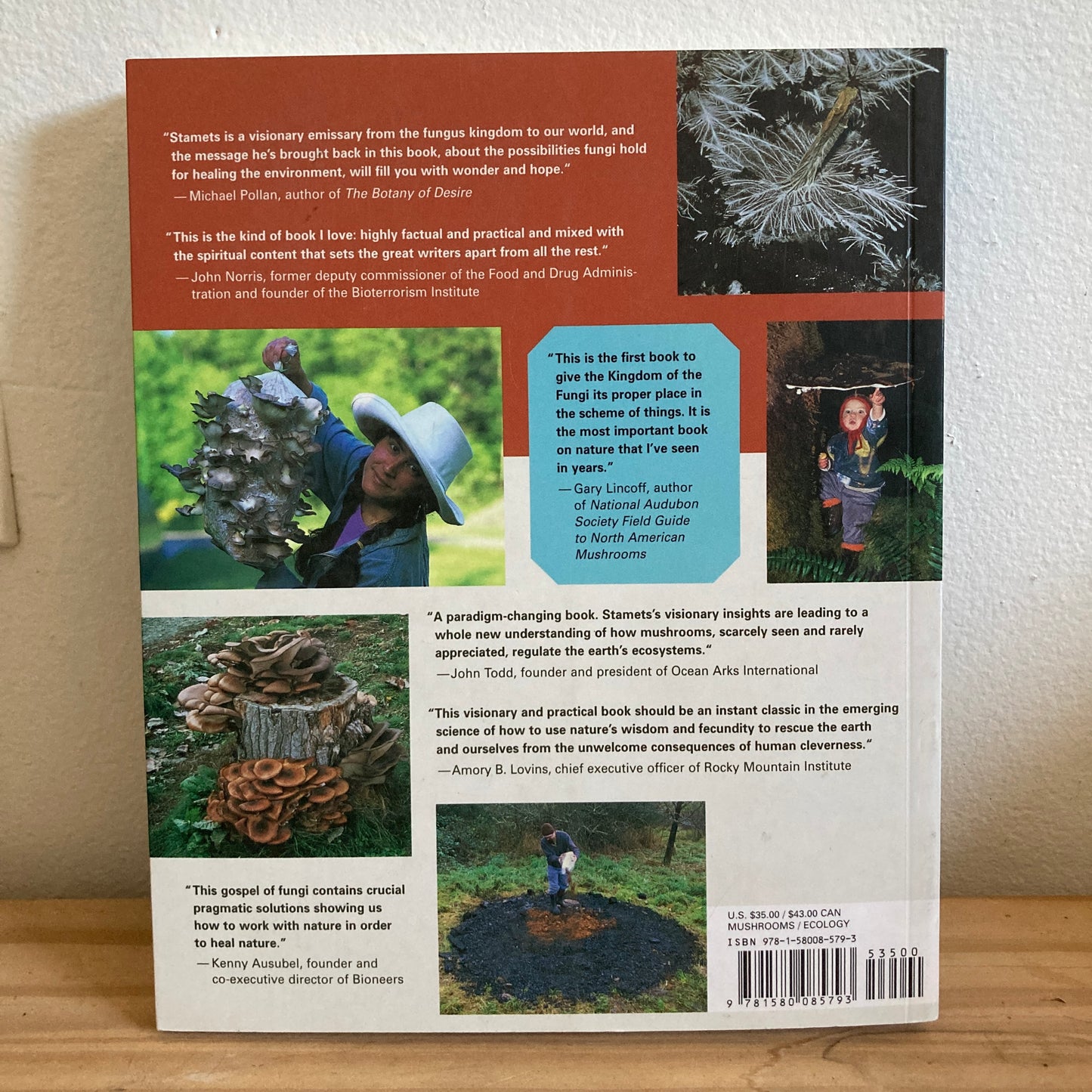 Mycelium Running - Paul Stamets