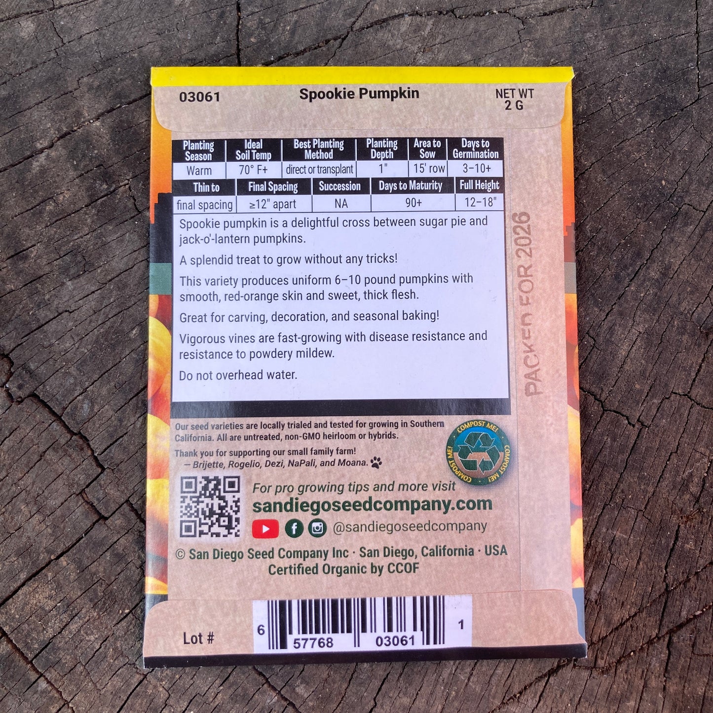 Pumpkin, Spookie - Organic - San Diego Seed Company