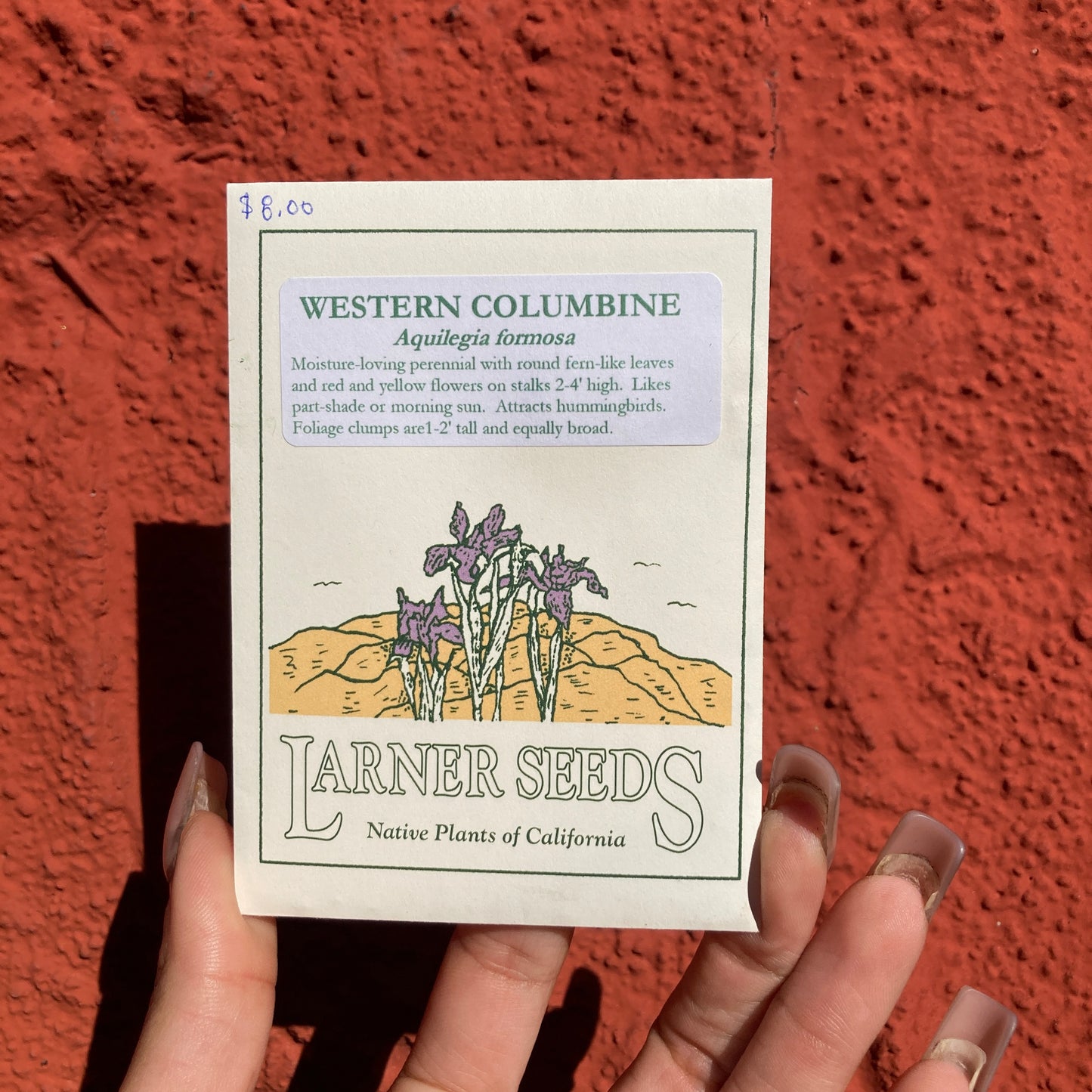 Western Columbine Seeds - Aquilegia formosa - Larner