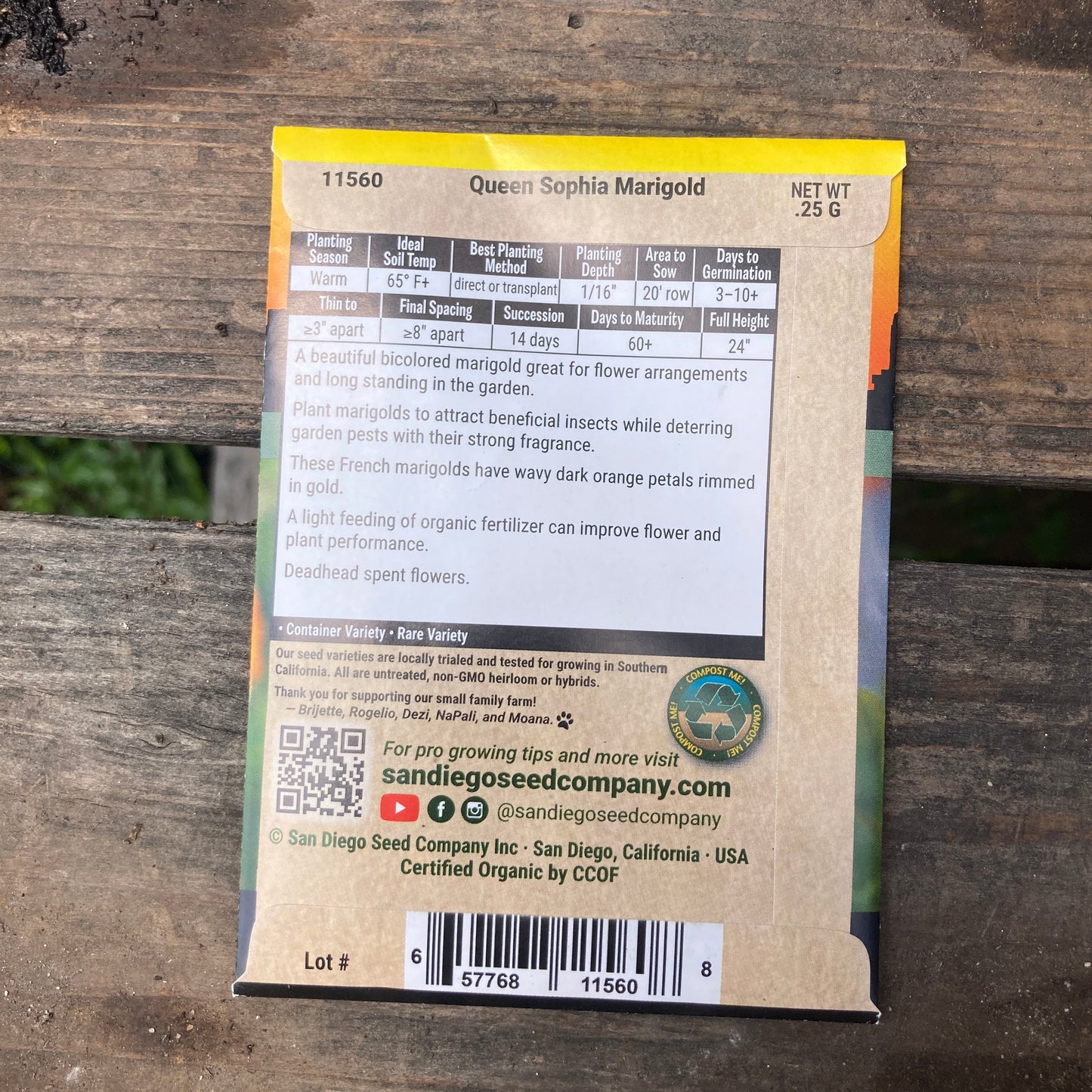 Marigold, Queen Sophia - Organic - San Diego Seed Company