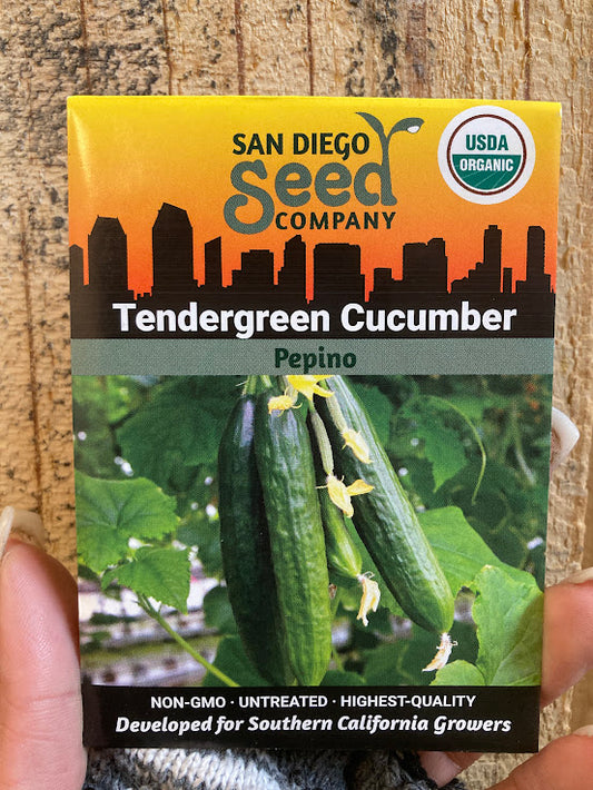 Cucumber, Tendergreen  - San Diego Seed Company