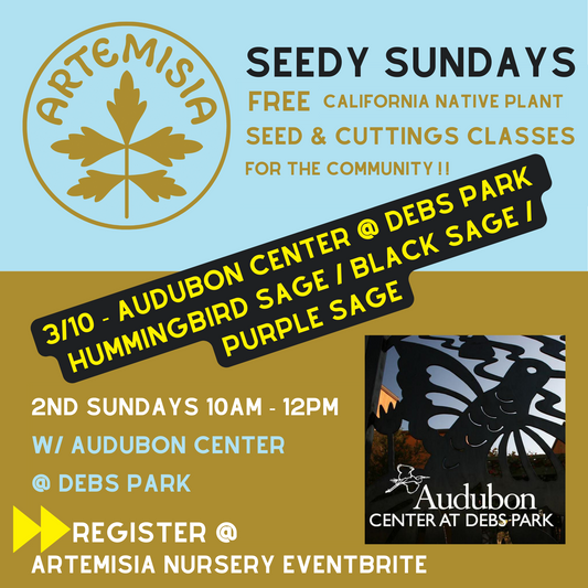 Debs Park Second Sundays! Free Native Plant Seed & Propagation Classes