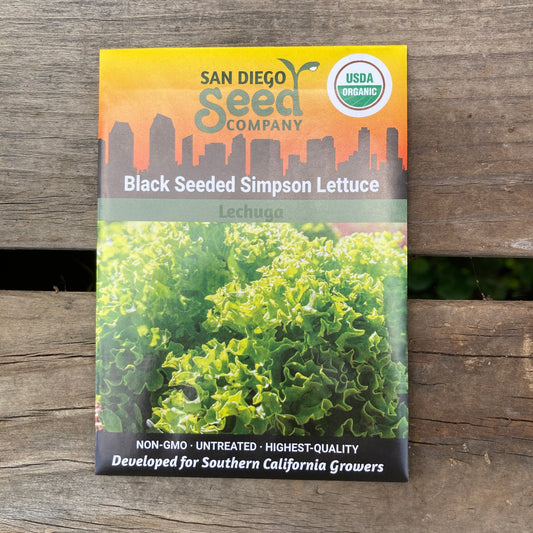 Lettuce, Black Seeded Simpson - Organic - San Diego Seed Company