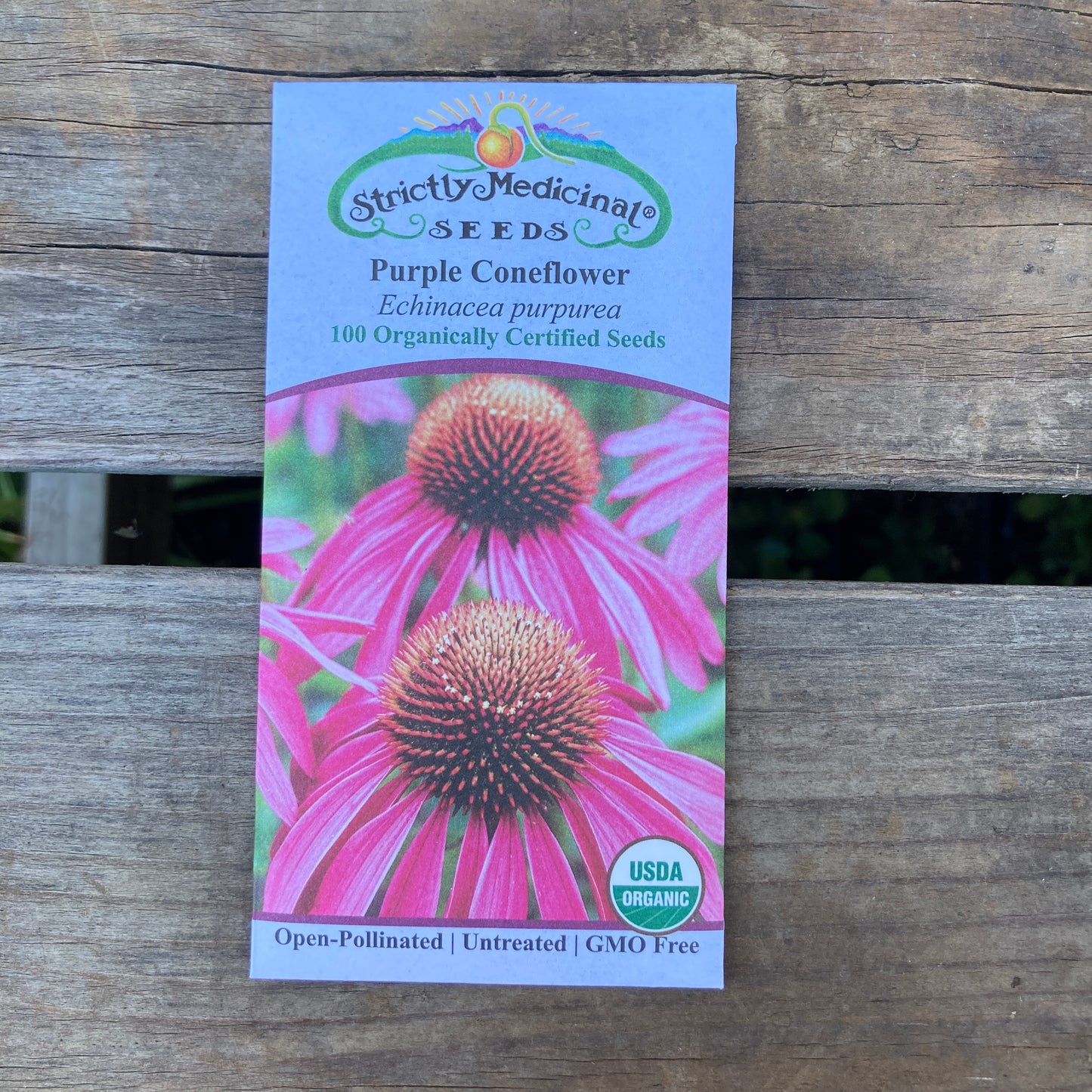 Purple Coneflower (Echinacea purpurea) - Organic - Strictly Medicinal Seeds