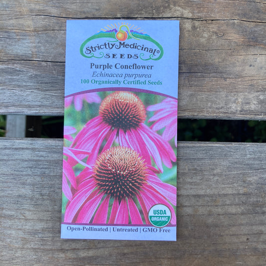 Purple Coneflower (Echinacea purpurea) - Organic - Strictly Medicinal Seeds