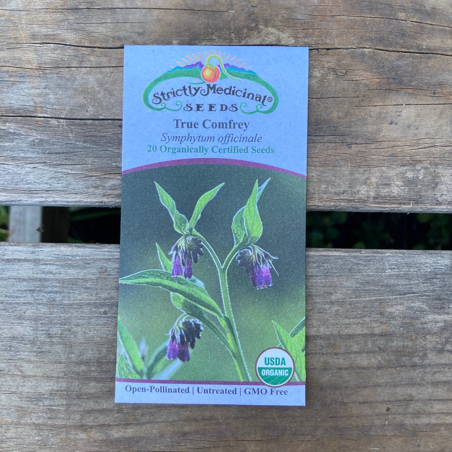 True Comfrey (Symphytum officinale var. patens) - Organic - Strictly Medicinal Seeds