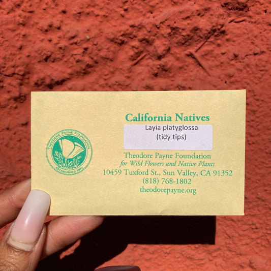Tidy Tips Seeds - Layia platyglossa - Theodore Payne Foundation