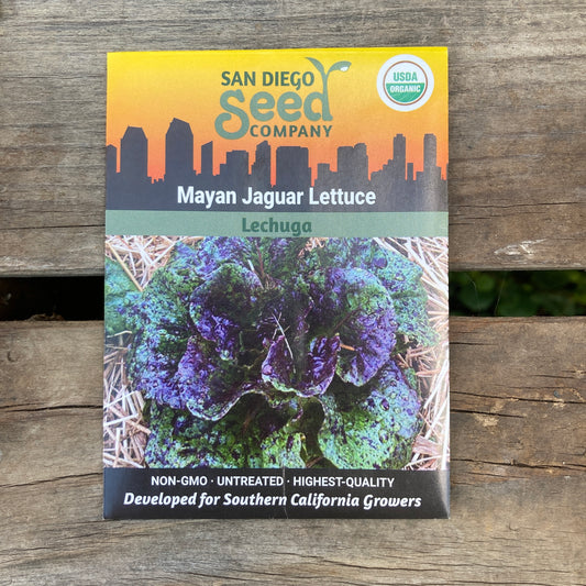 Lettuce, Mayan Jaguar - Organic - San Diego Seed Company