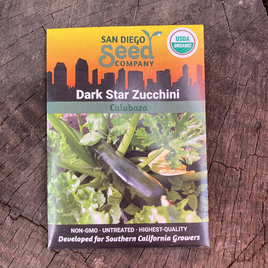 Squash, Dark Star Zucchini - Organic - San Diego Seed Company