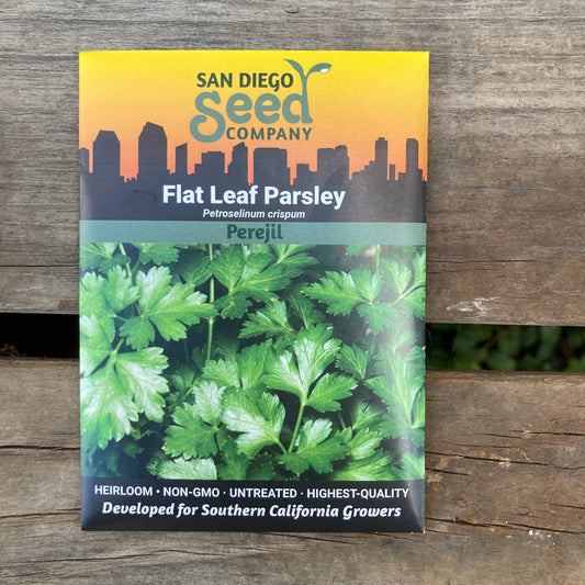 Parsley, Italian Flat Leaf - San Diego Seed Company