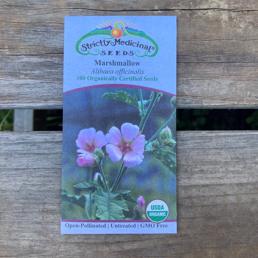 Marshmallow (Althaea officinalis) - Organic - Strictly Medicinal Seeds