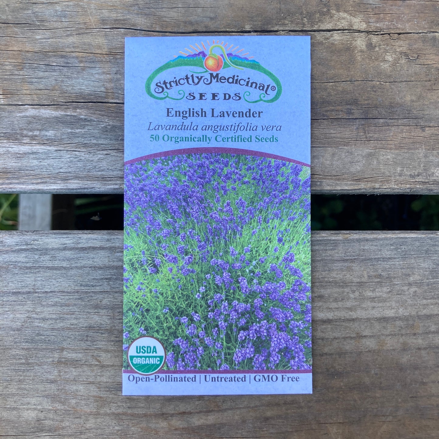 English Lavender (Lavandula angustifolia vera) - Organic - Strictly Medicinal Seeds