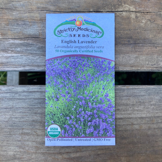 English Lavender (Lavandula angustifolia vera) - Organic - Strictly Medicinal Seeds