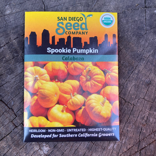 Pumpkin, Spookie - Organic - San Diego Seed Company