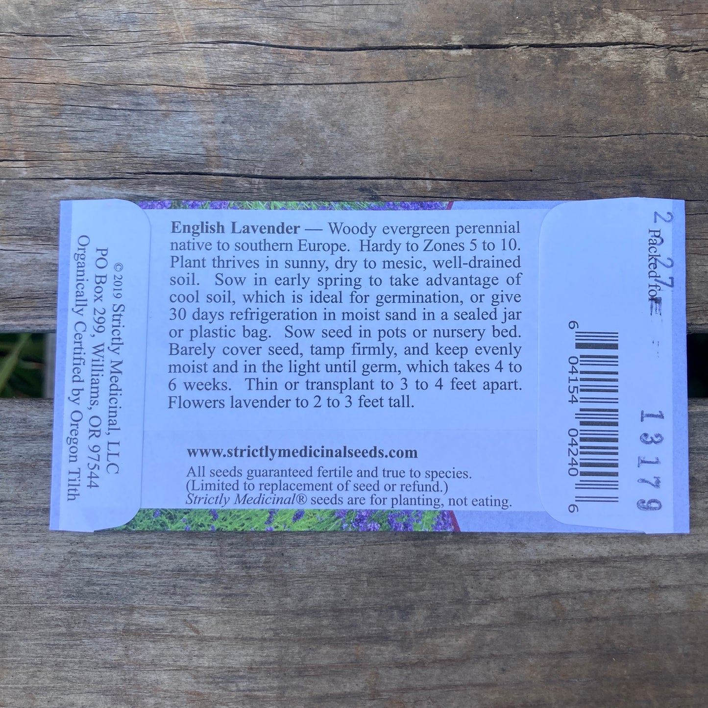 English Lavender (Lavandula angustifolia vera) - Organic - Strictly Medicinal Seeds