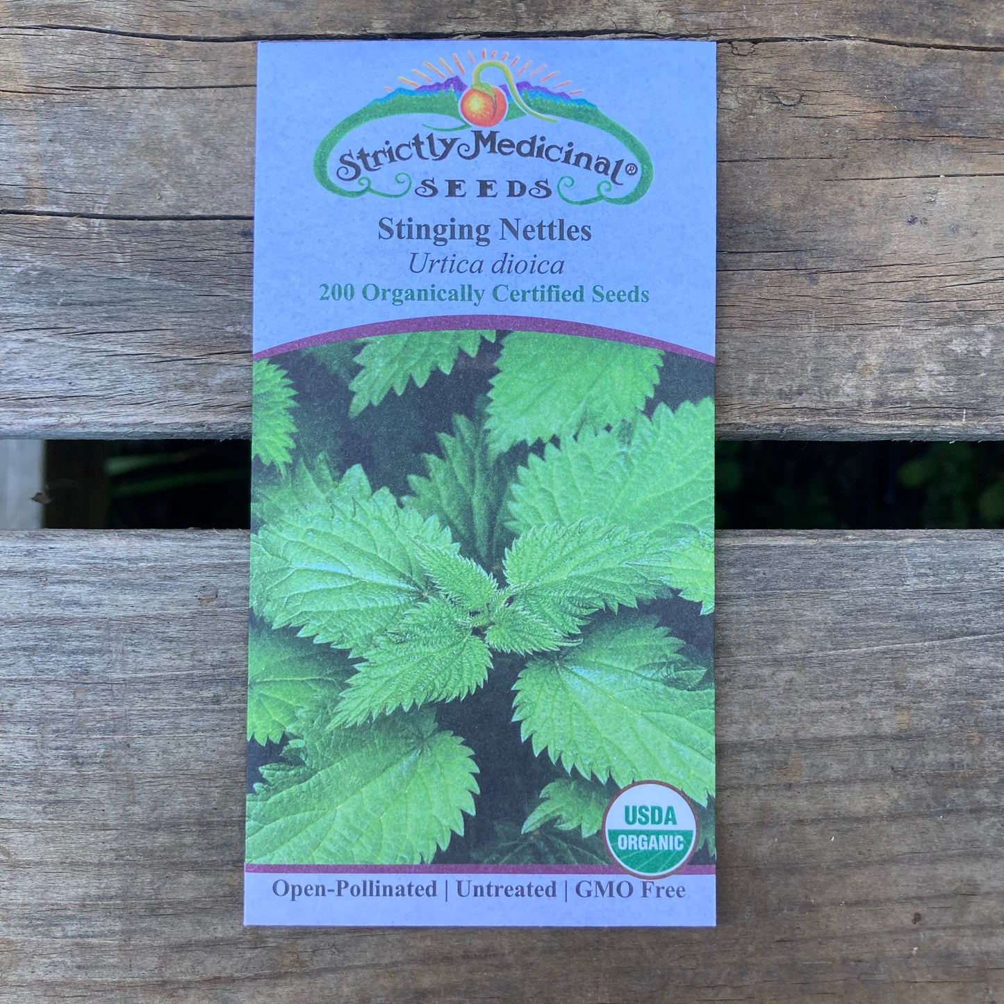 Stinging Nettle (Urtica dioica)- Organic - Strictly Medicinal Seeds