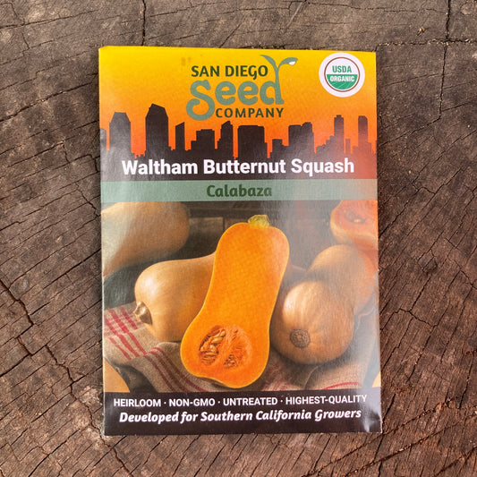 Squash, Waltham Butternut - Organic - San Diego Seed Company