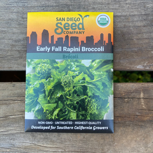 Broccoli, Early Fall Rapini - Organic - San Diego Seed Company