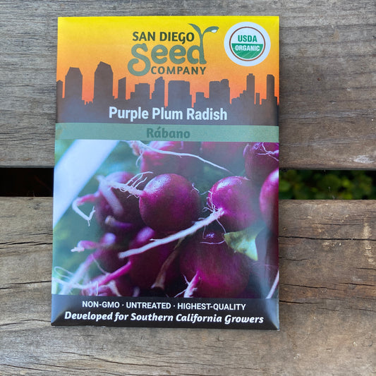 Radish, Purple Plum - Organic - San Diego Seed Company