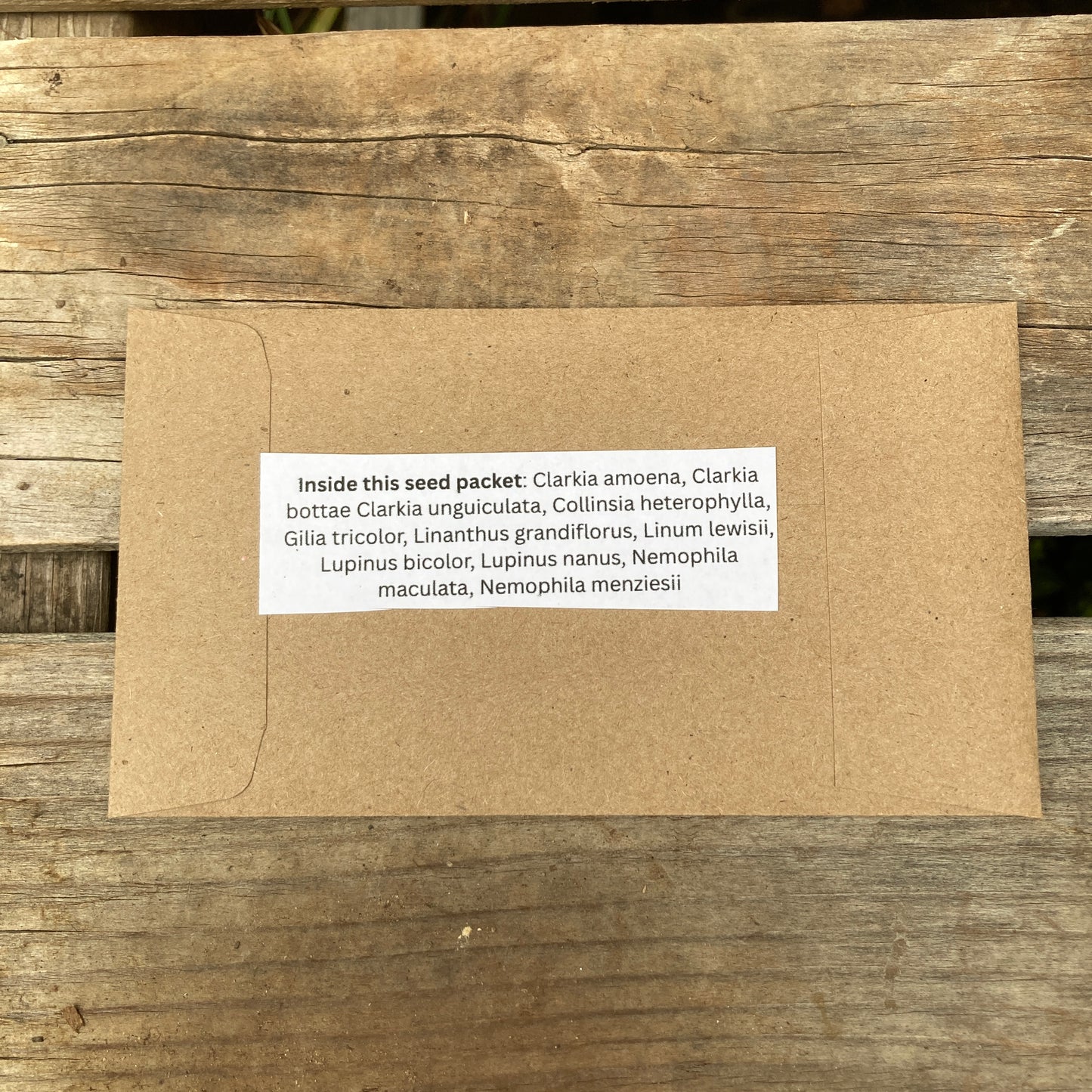 Shady Mixture - California Native Wildflower Seeds