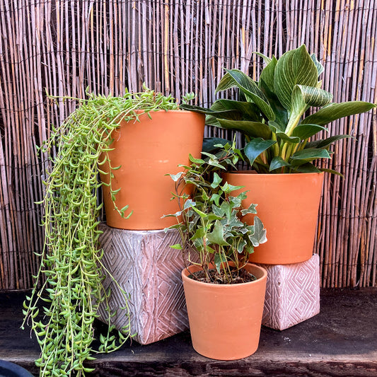 Cabo Cylinder - Terra Cotta