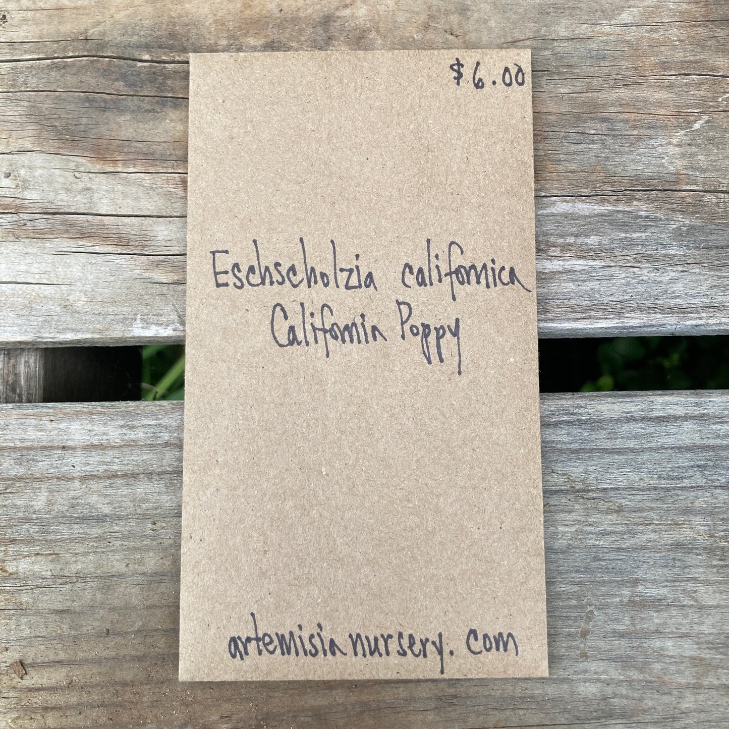California Poppy Seeds - Eschscholzia californica