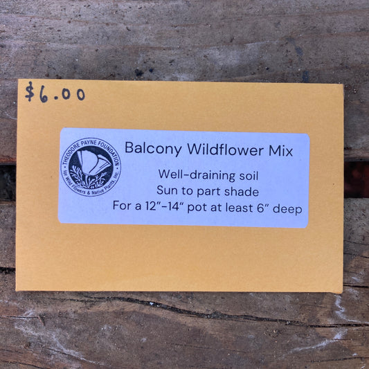Balcony Wildflower Mix - Theodore Payne Foundation