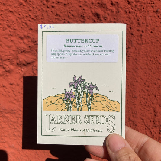 Buttercup Seeds - Ranunculus californicus - Larner