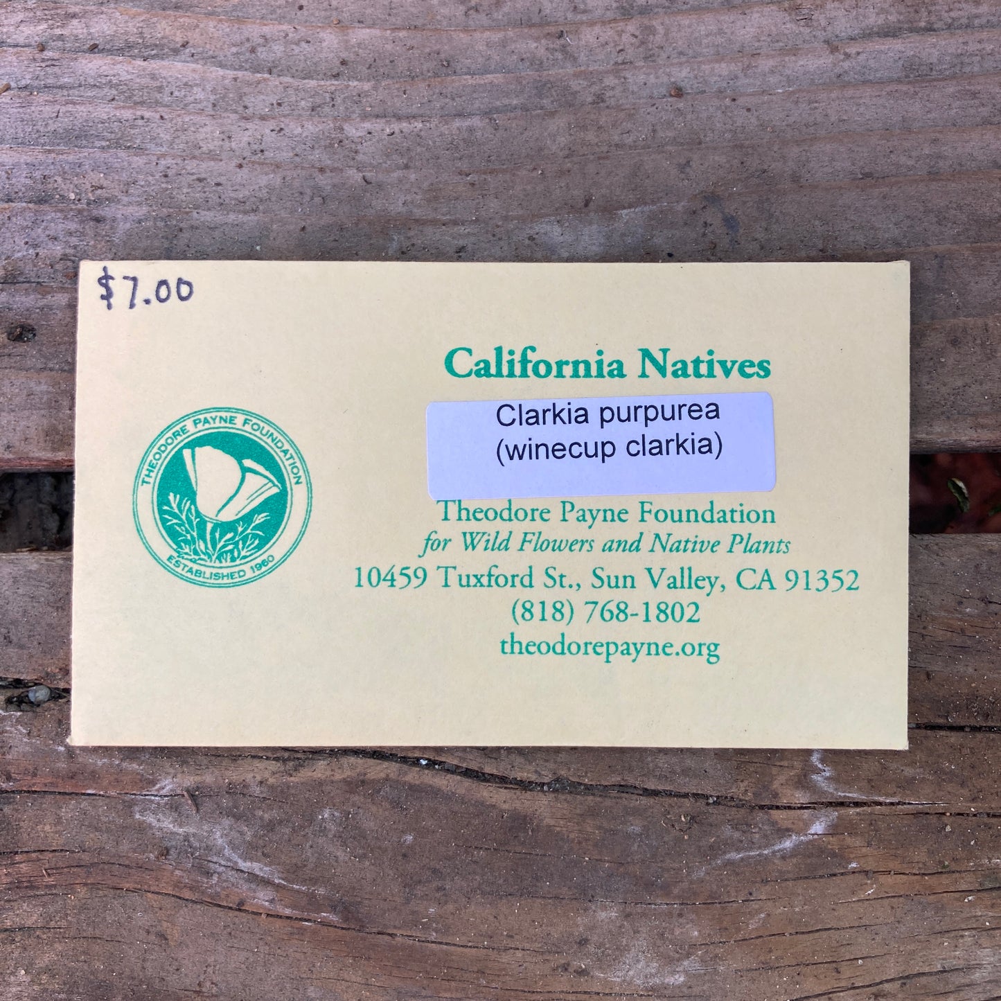 Clarkia purpurea - Winecup Clarkia - Theodore Payne Foundation