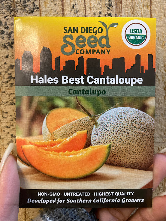 Cantaloupe, Hales Best  - San Diego Seed Company