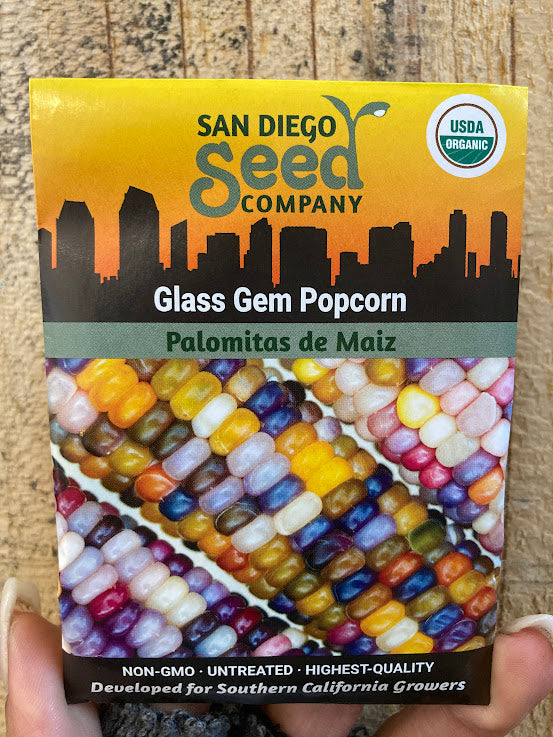 Corn, Glass Gem Popcorn - San Diego Seed Company