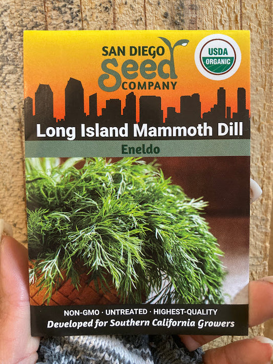 Dill, Long Island Mammoth - Organic - San Diego Seed Company