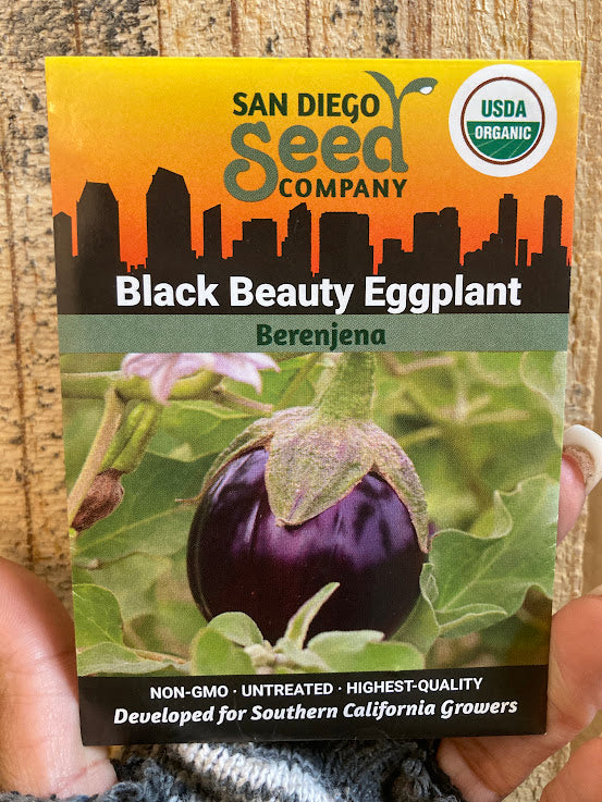 Eggplant, Black Beauty - San Diego Seed Company