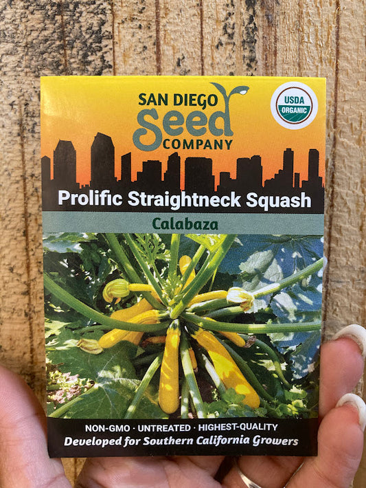 Squash, Prolific Yellow Straightneck - Organic - San Diego Seed Company
