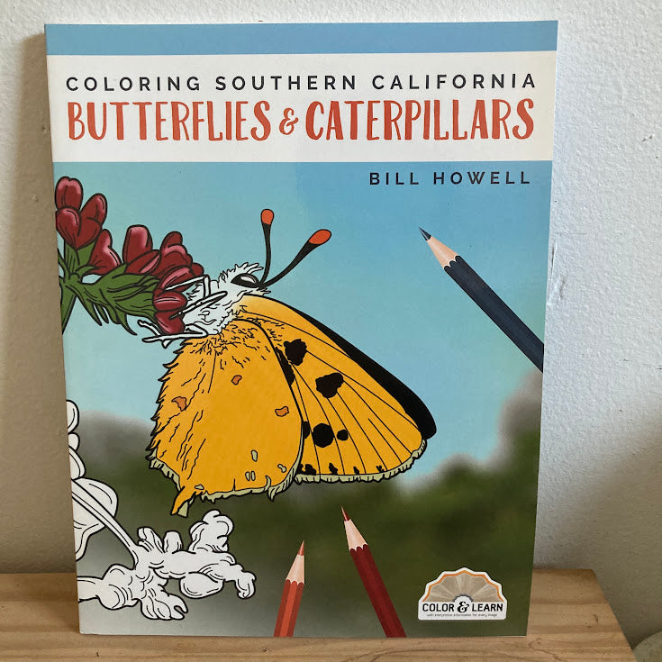 Coloring Southern California Butterflies & Caterpillars