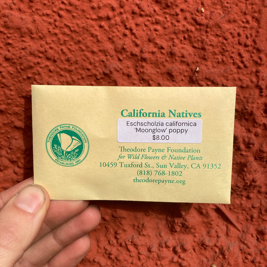 Mahogany Red California Poppy Seeds - Eschscholzia californica 'Mahogany Red' - Theodore Payne Foundation