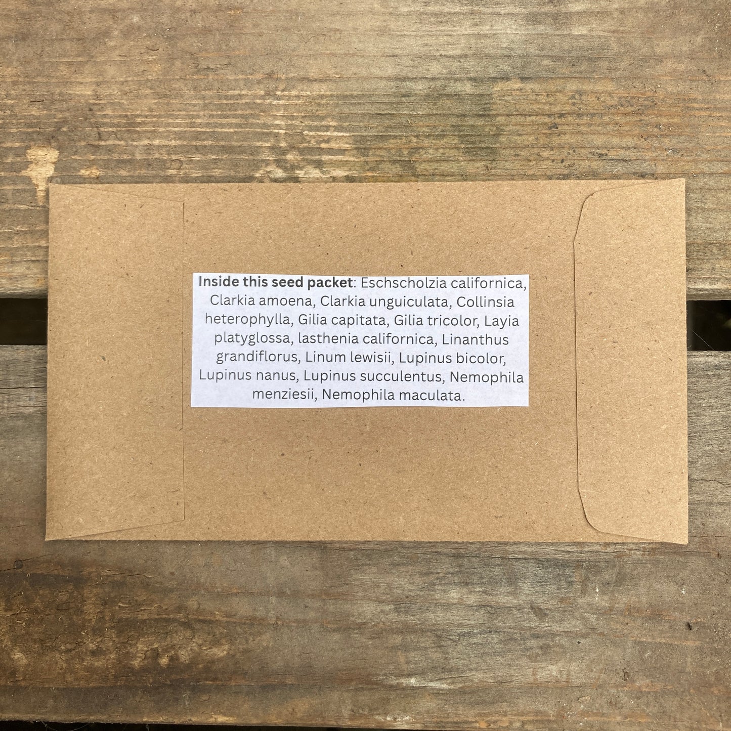 California Wildflower Seed Mix
