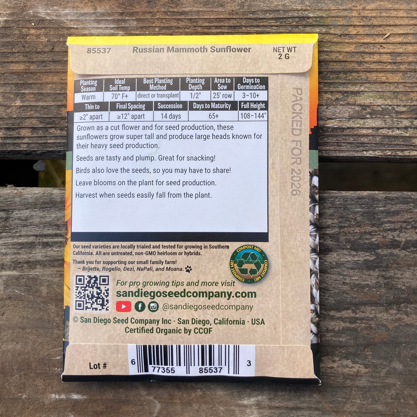 Sunflower, Russian Mammoth - Organic - San Diego Seed Company