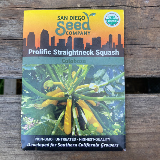 Squash, Prolific Yellow Straightneck - Organic - San Diego Seed Company