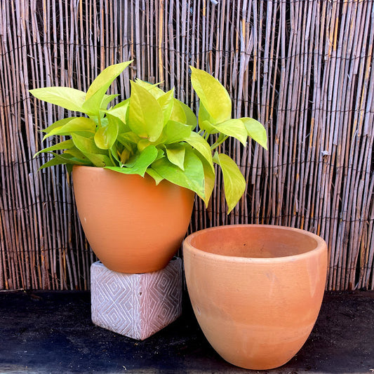 Liberty Bell Pot - Terra Cotta