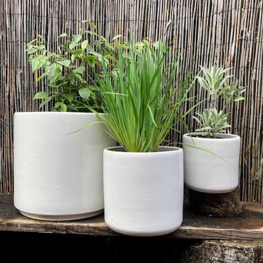 Matte White Cylinder